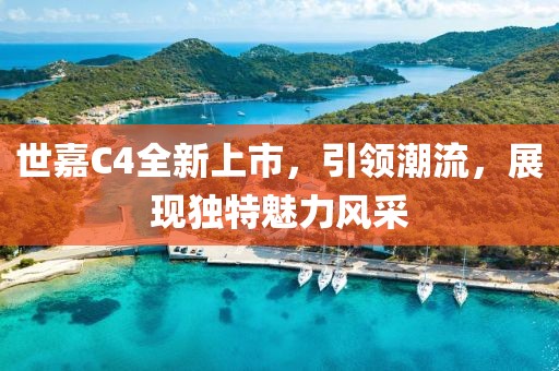 世嘉C4全新上市，引領(lǐng)潮流，展現(xiàn)獨(dú)特魅力風(fēng)采