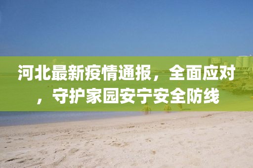 河北最新疫情通報，全面應(yīng)對，守護家園安寧安全防線