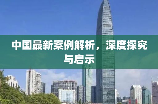 中國最新案例解析，深度探究與啟示