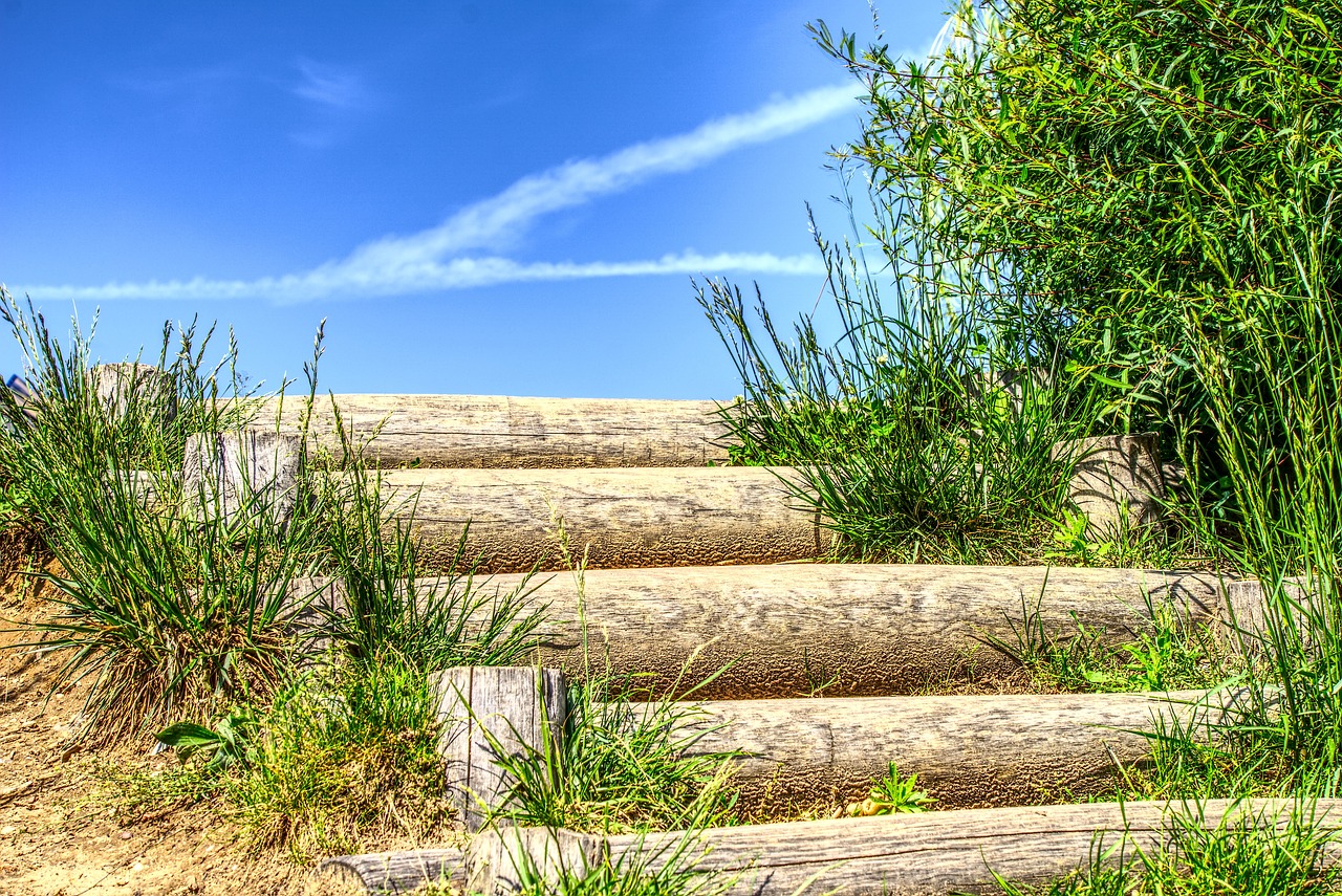 朱松瑋近期動(dòng)態(tài)揭秘，籃球賽場上的新星崛起