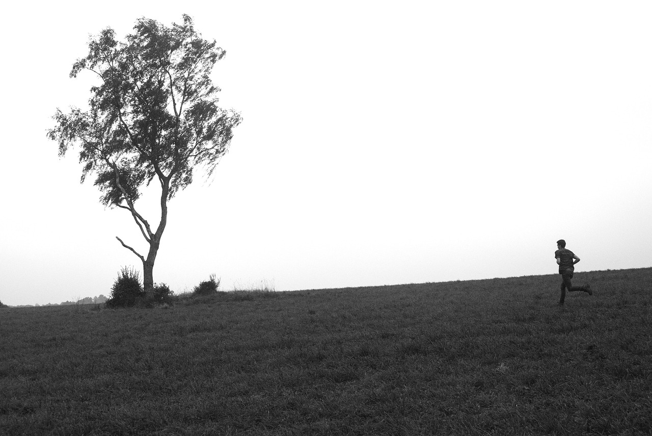 薊縣狐貍峪最新動態(tài)揭秘，神秘土地新面紗下的探索發(fā)現(xiàn)