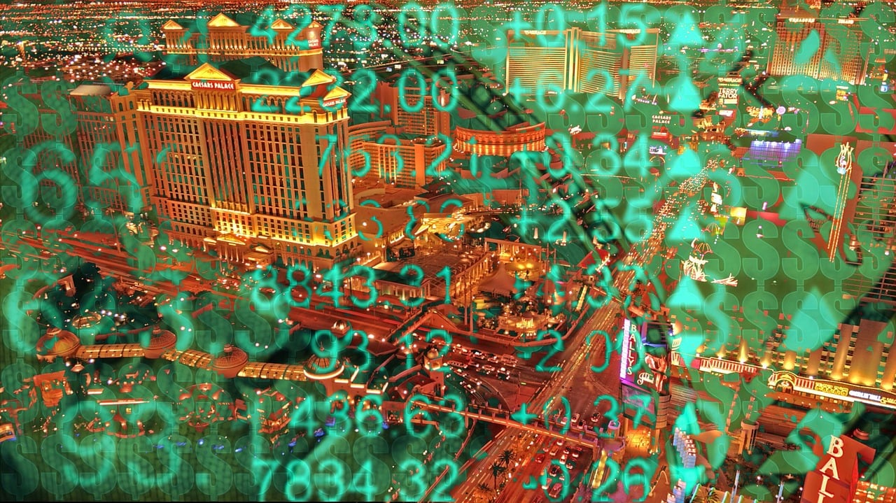 羽絨市場(chǎng)最新動(dòng)態(tài)揭秘，趨勢(shì)、機(jī)遇與挑戰(zhàn)并存