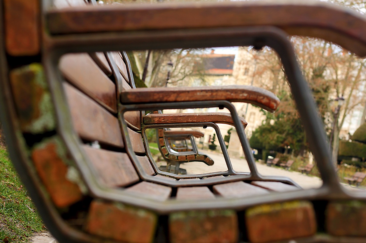 仁和香榭廣場，城市新中心的崛起與最新動態(tài)展望