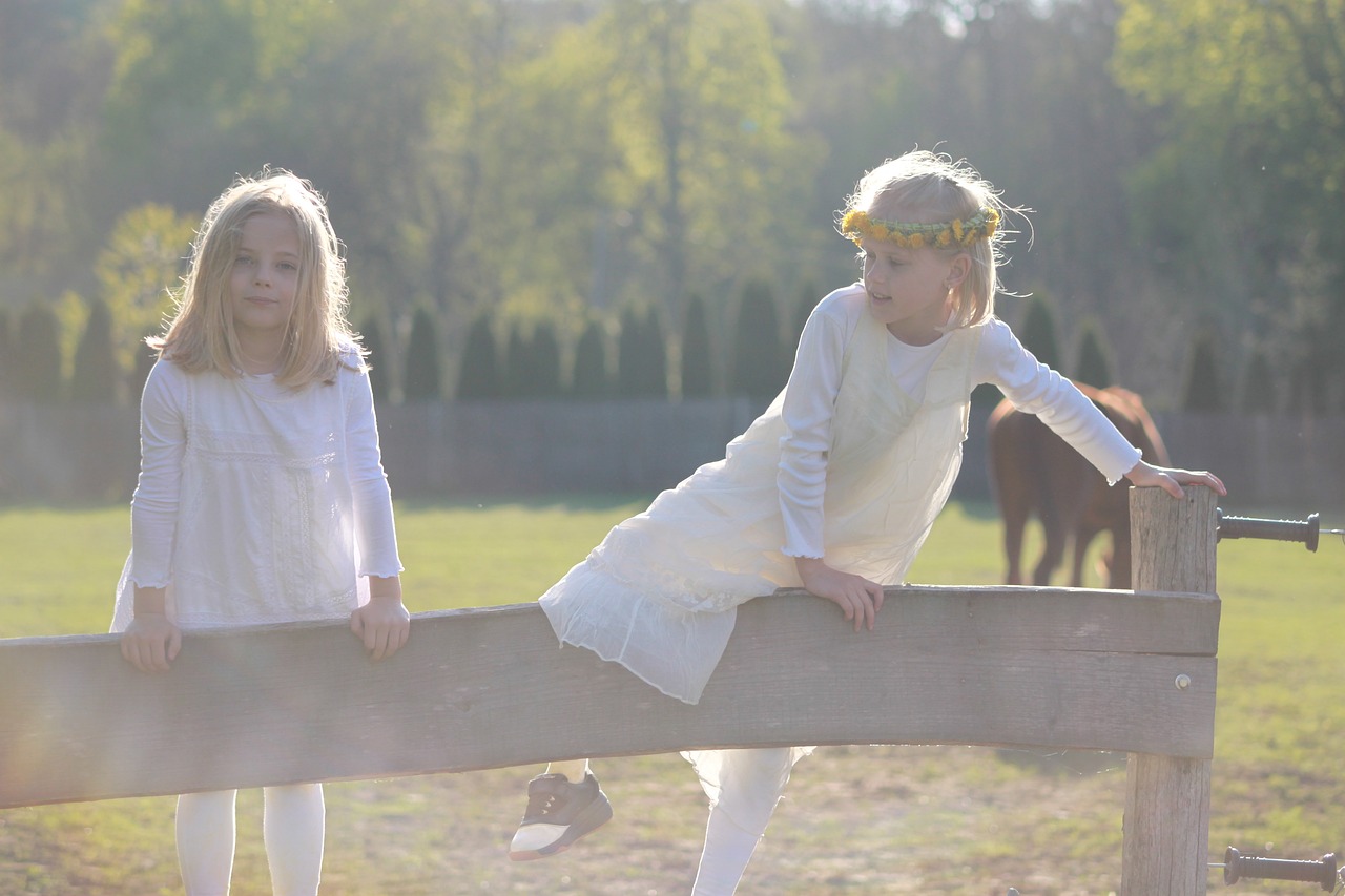 跨文化視角下的情感交織，韓國電影中女友母親的角色探究