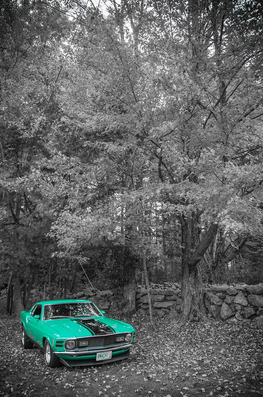 張偉麗展現(xiàn)斗志與實(shí)力，最新比賽動(dòng)態(tài)速遞