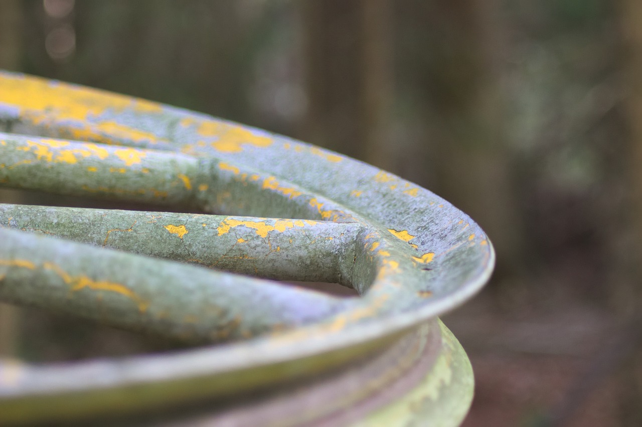 辰溪新聞快訊，縣域動態(tài)與社會熱點聚焦速遞