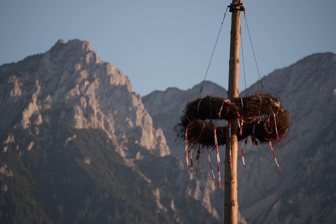 高山上的花環(huán)電影概述