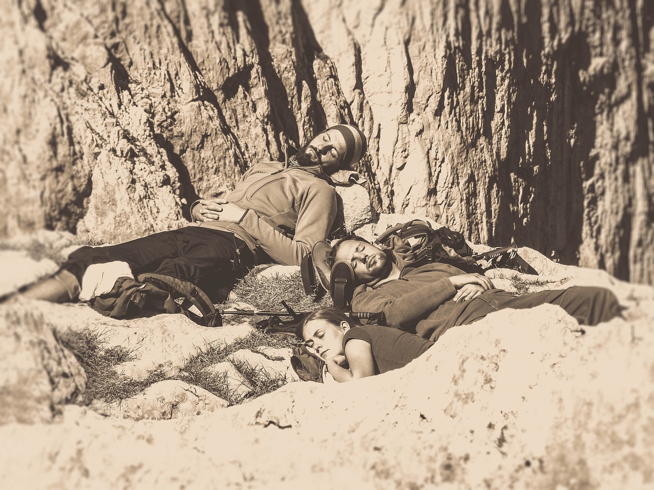 石家莊最新資訊概覽，時事動態(tài)一網(wǎng)打盡