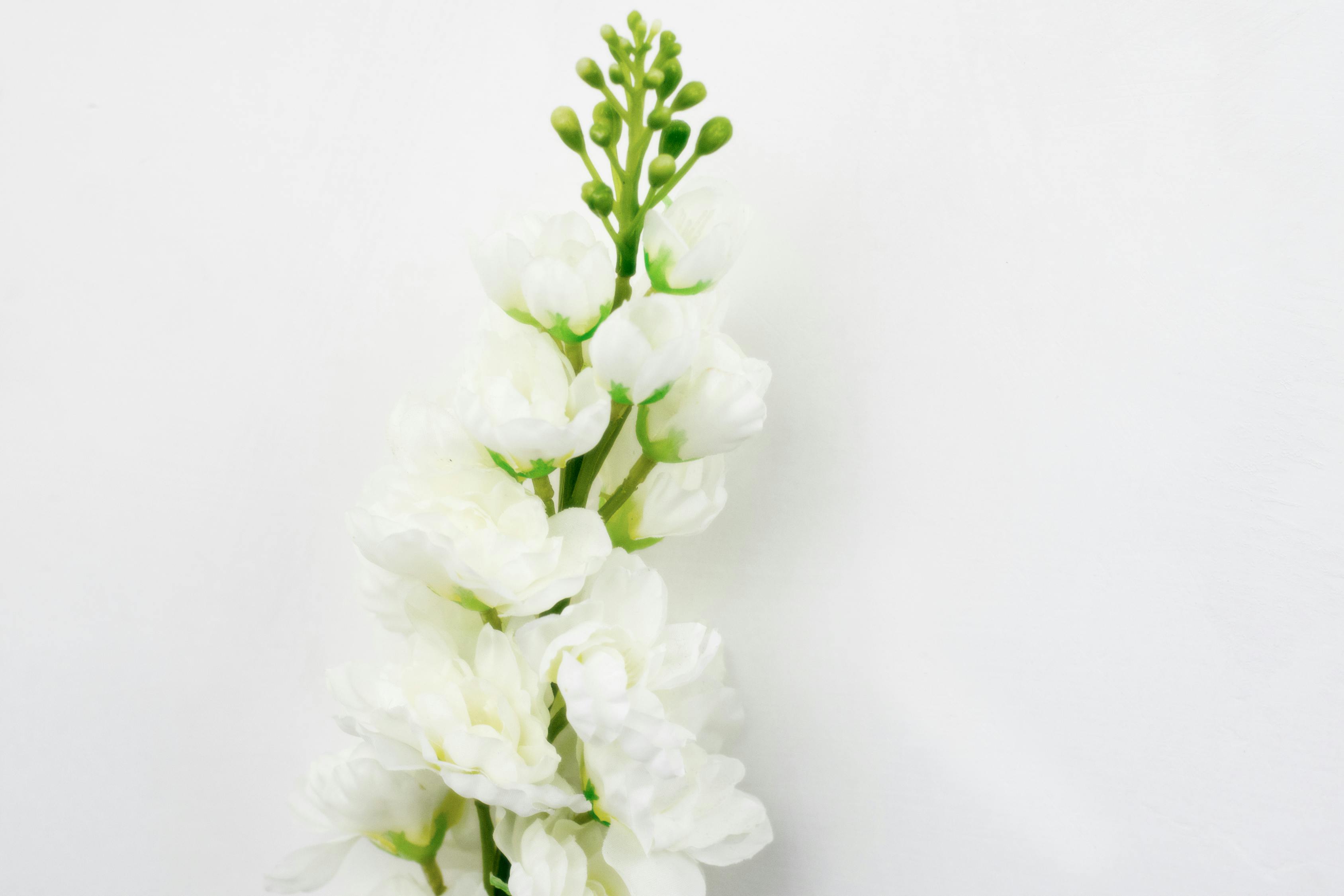 鳳凰傳媒股價動態(tài)更新，市場走勢分析與展望