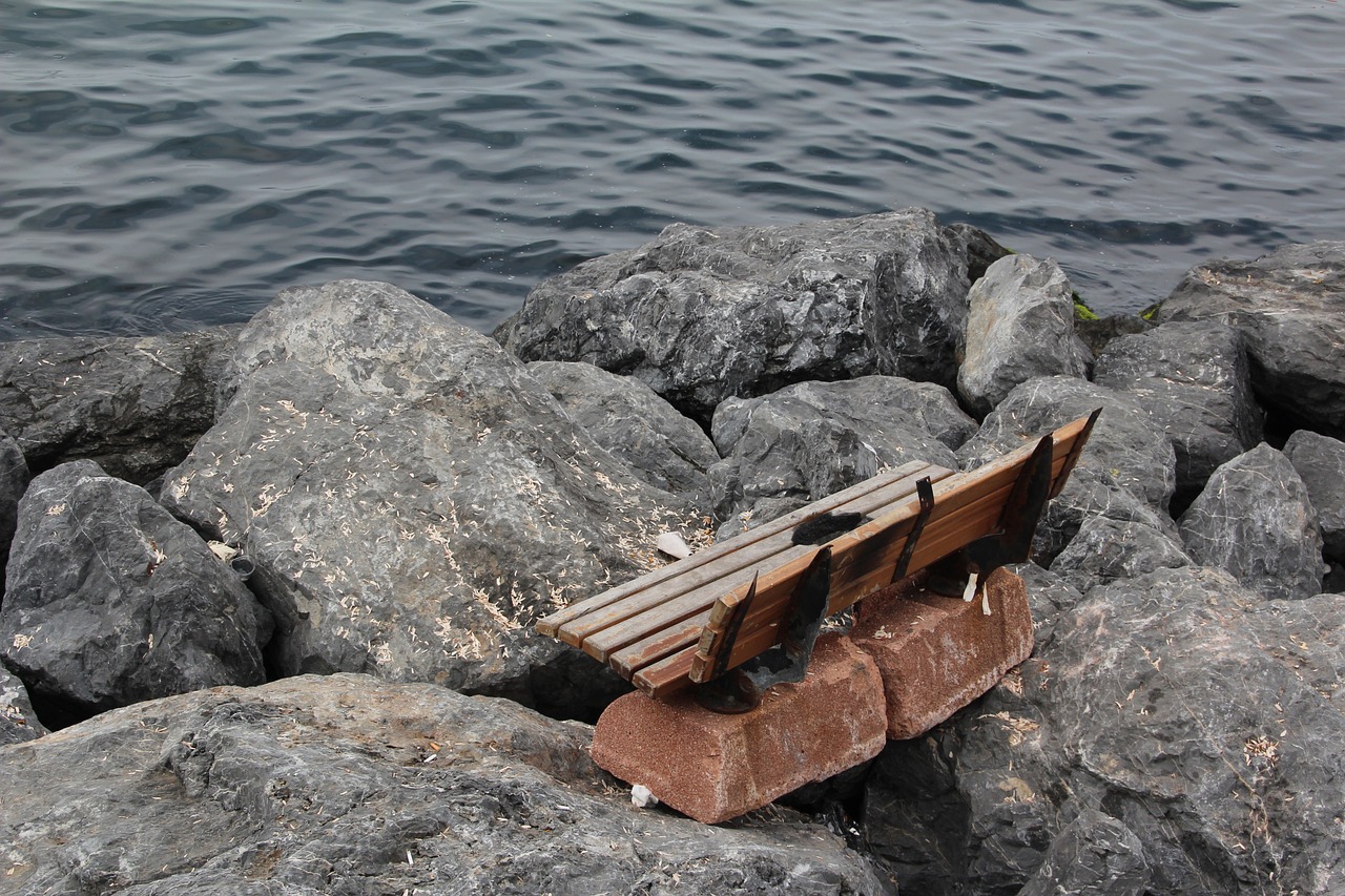 鄧馬營湖持續(xù)展現(xiàn)活力與發(fā)展?jié)摿?，最新動態(tài)回顧與展望（2017年）