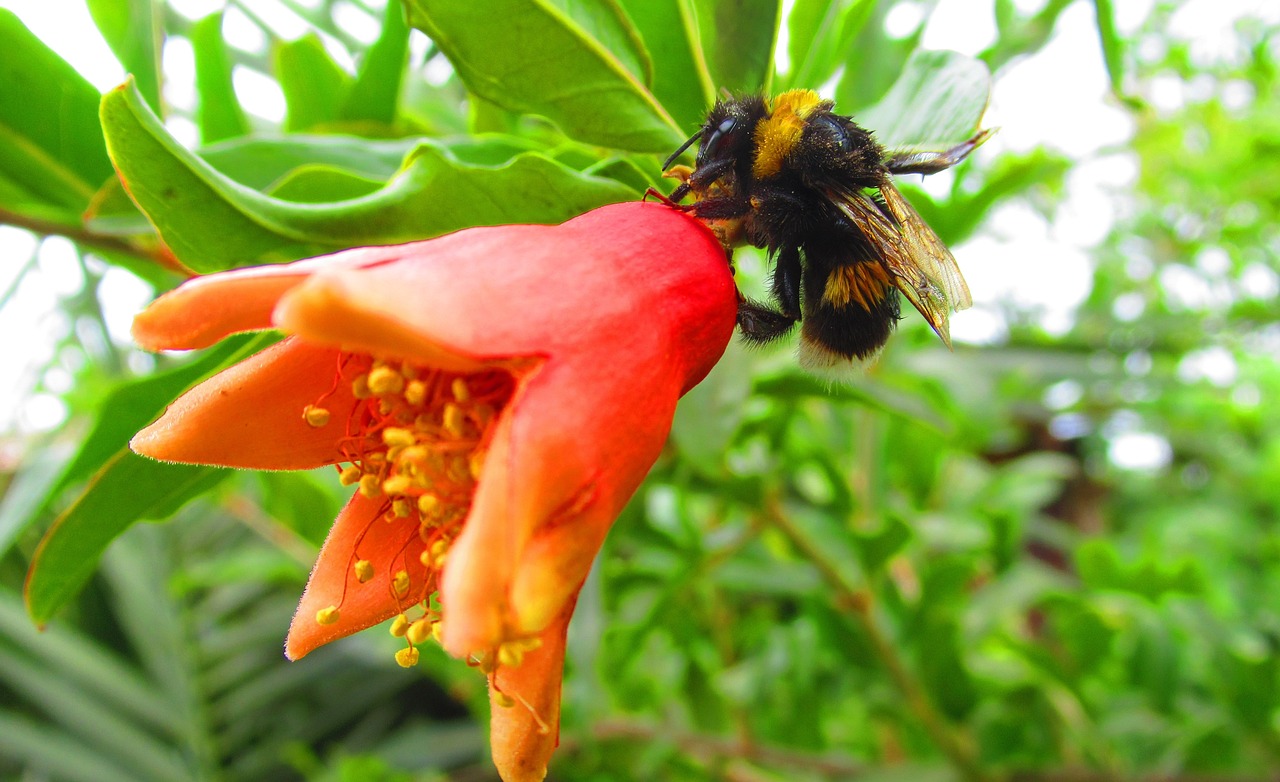 蠢臉新動態(tài)，深層含義與未來展望