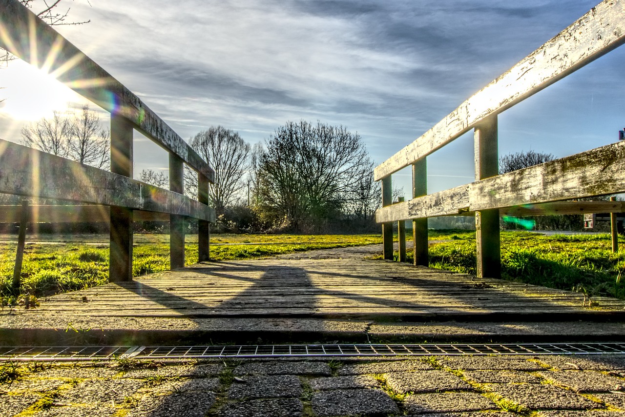 鄭爽新動態(tài)，明星之光的持續(xù)閃耀