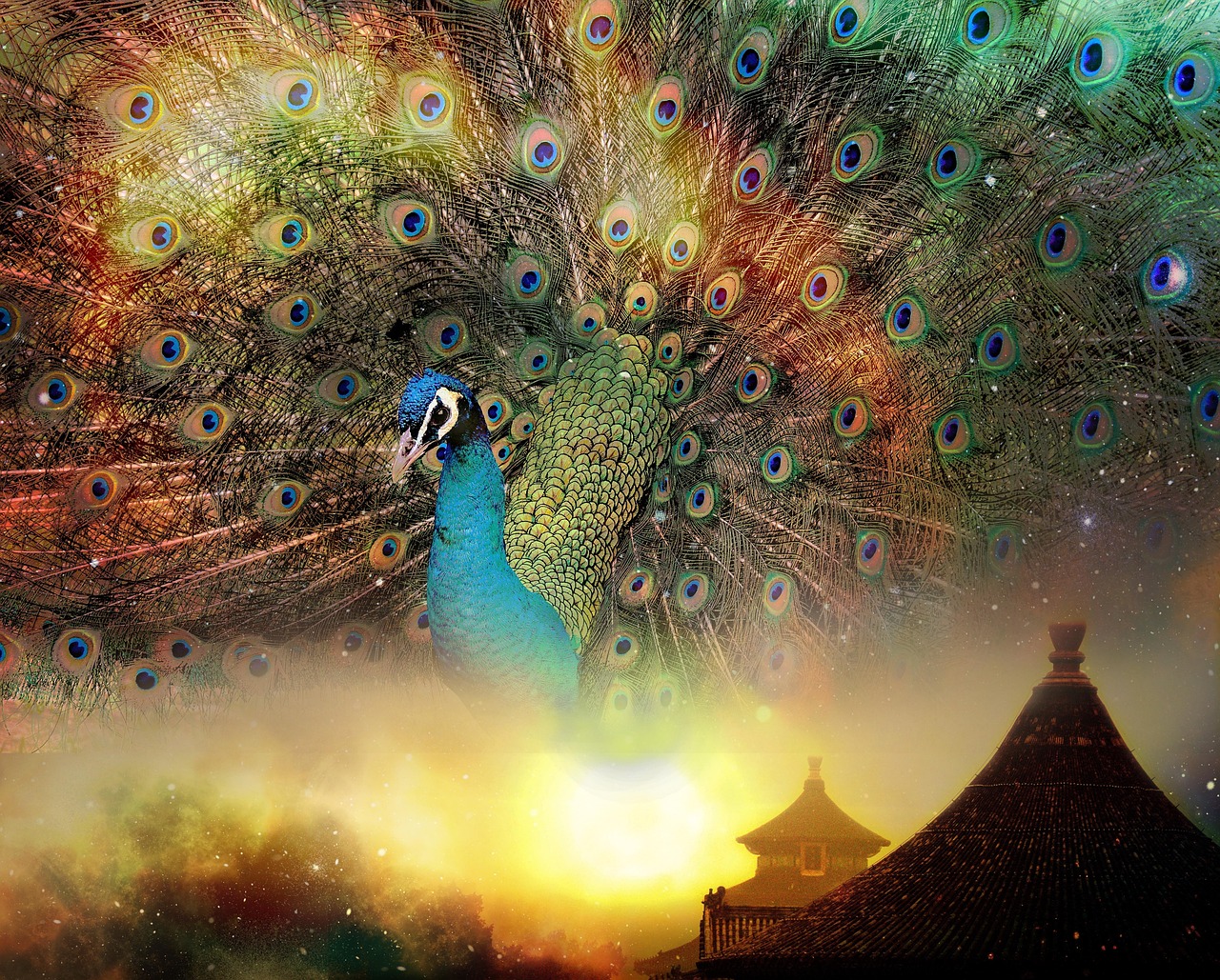 最新偽裝技巧揭秘，探索隱藏的奧秘之道