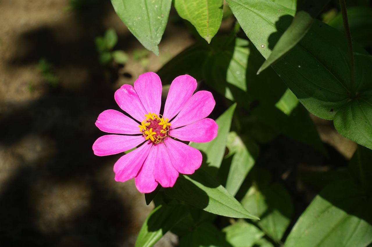 陌汐兒 第14頁(yè)