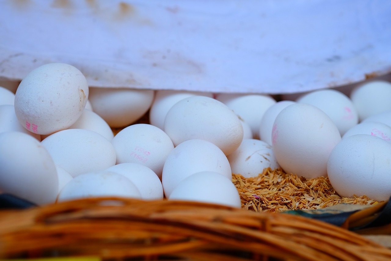 土豆最新價格動態(tài)分析與趨勢預測