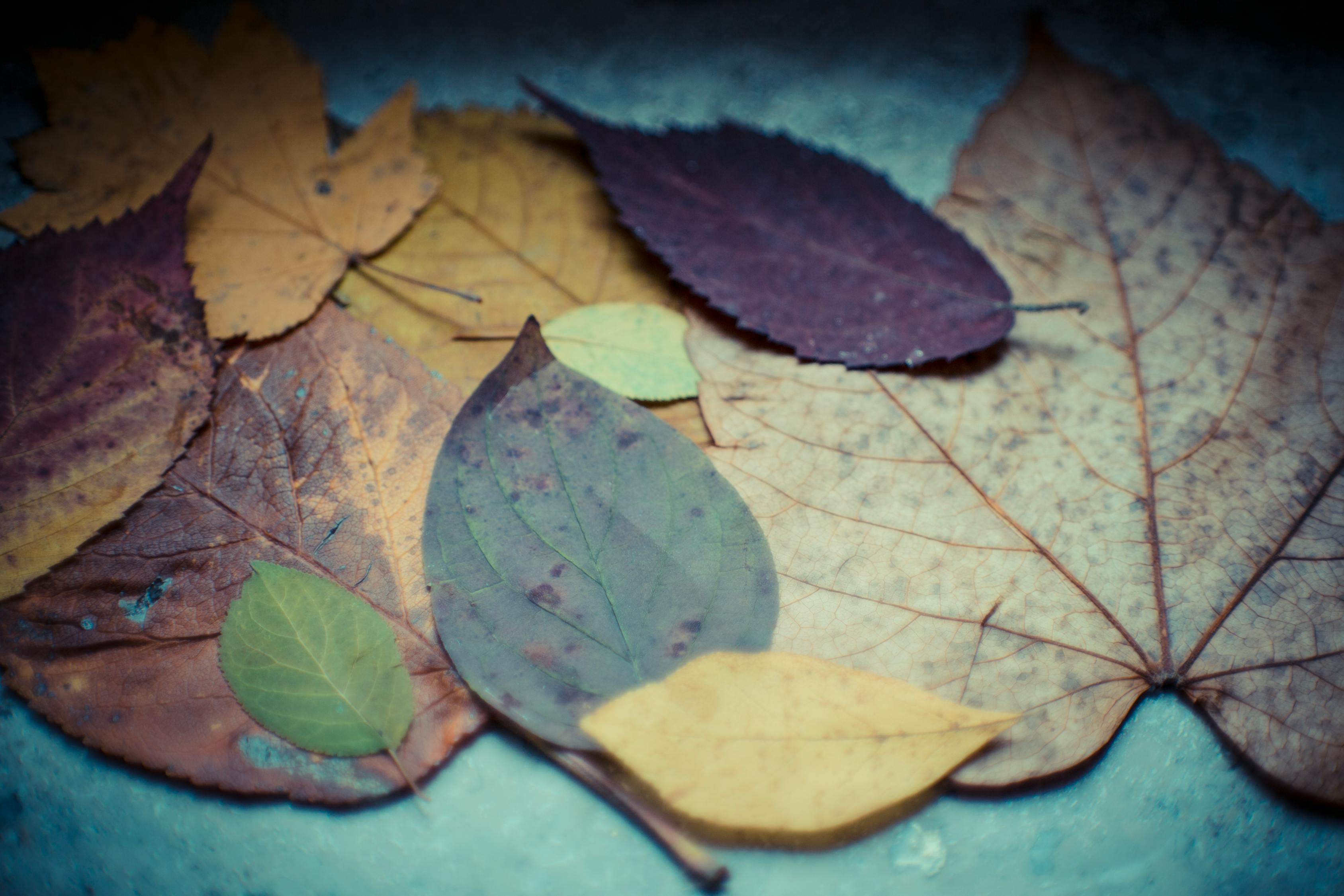 夏晨曦 第15頁(yè)