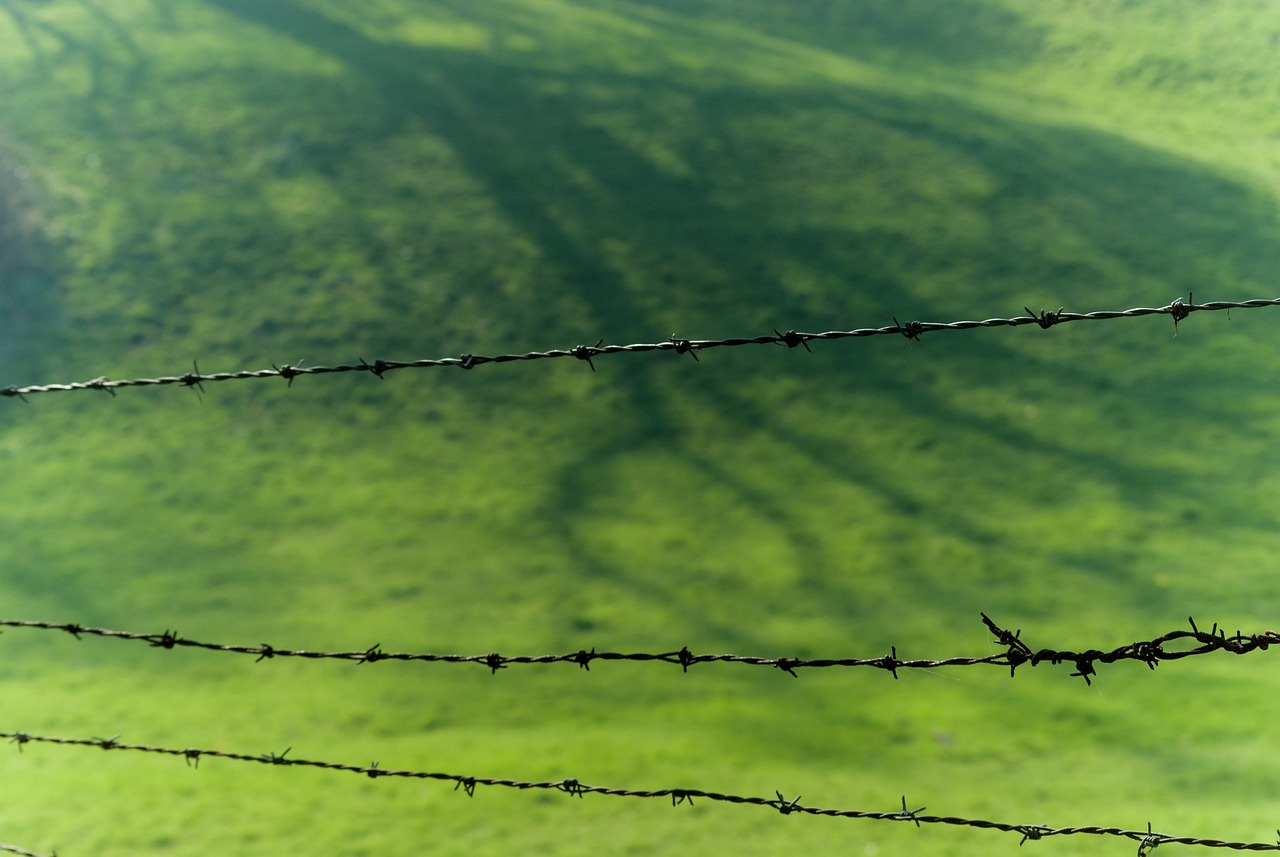 內(nèi)蒙古電視臺，草原文化的傳播與地方特色展示的重要窗口