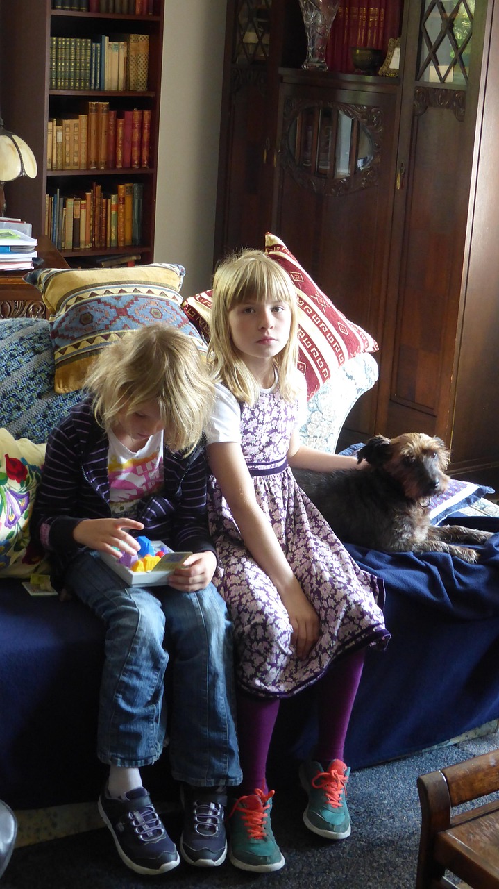 鬧鬧狗的活力四溢生活動(dòng)態(tài)