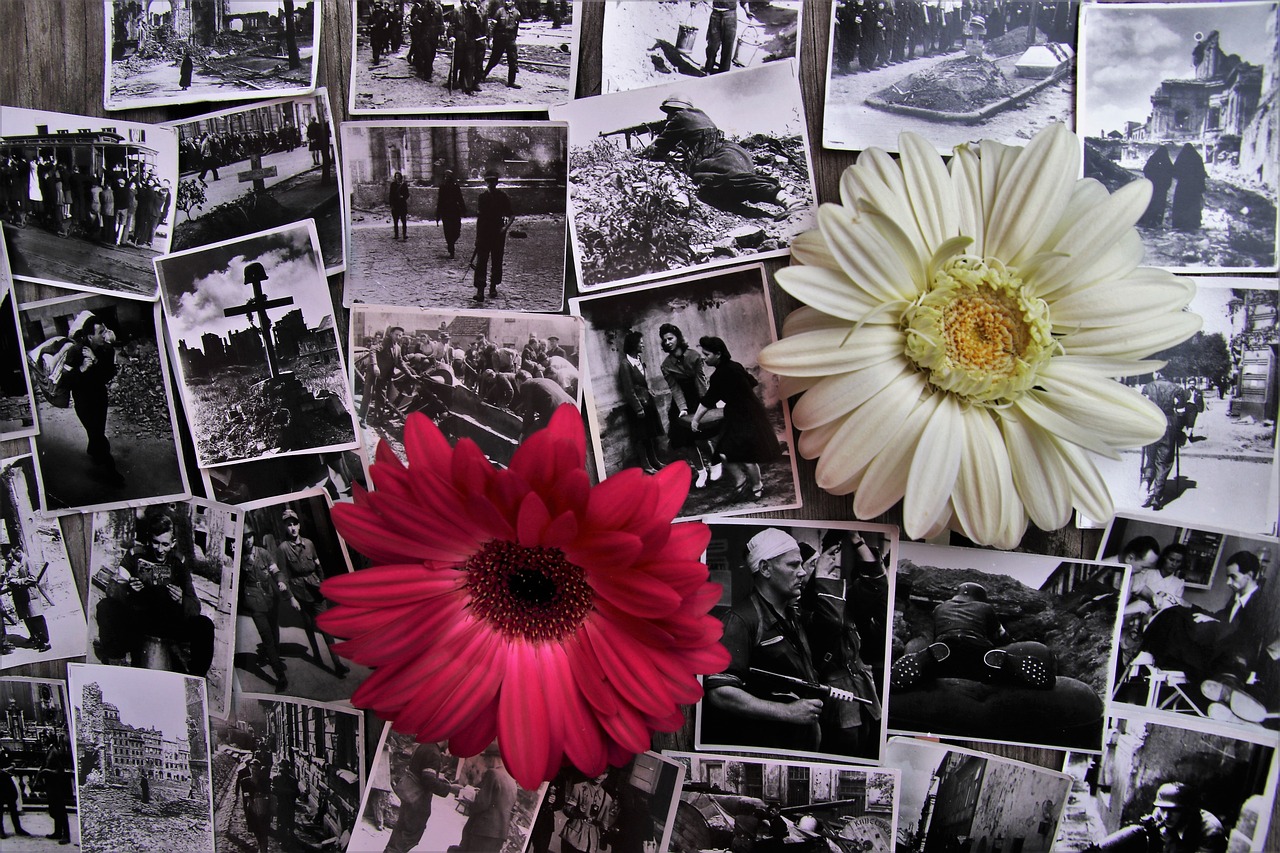 知青電影，歷史記憶與時(shí)代情懷的交融呈現(xiàn)