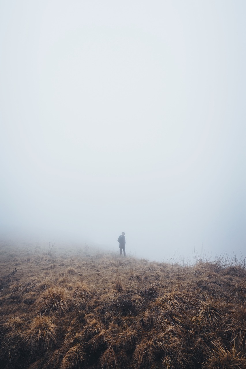 最新中文字幕電影，探索與賞析之旅