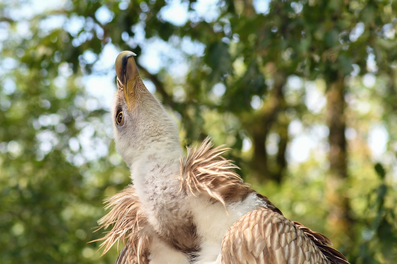 南戴河最新房價動態(tài)及市場趨勢深度解析