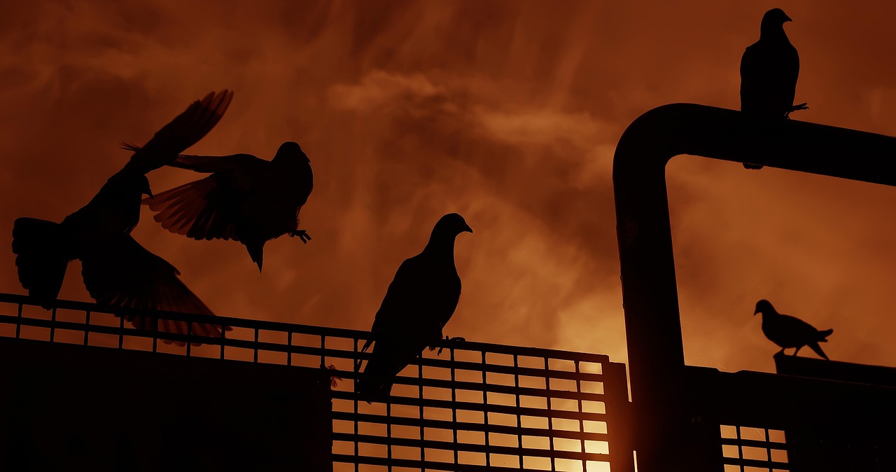 星光璀璨下的李燕燕藝術(shù)人生之旅