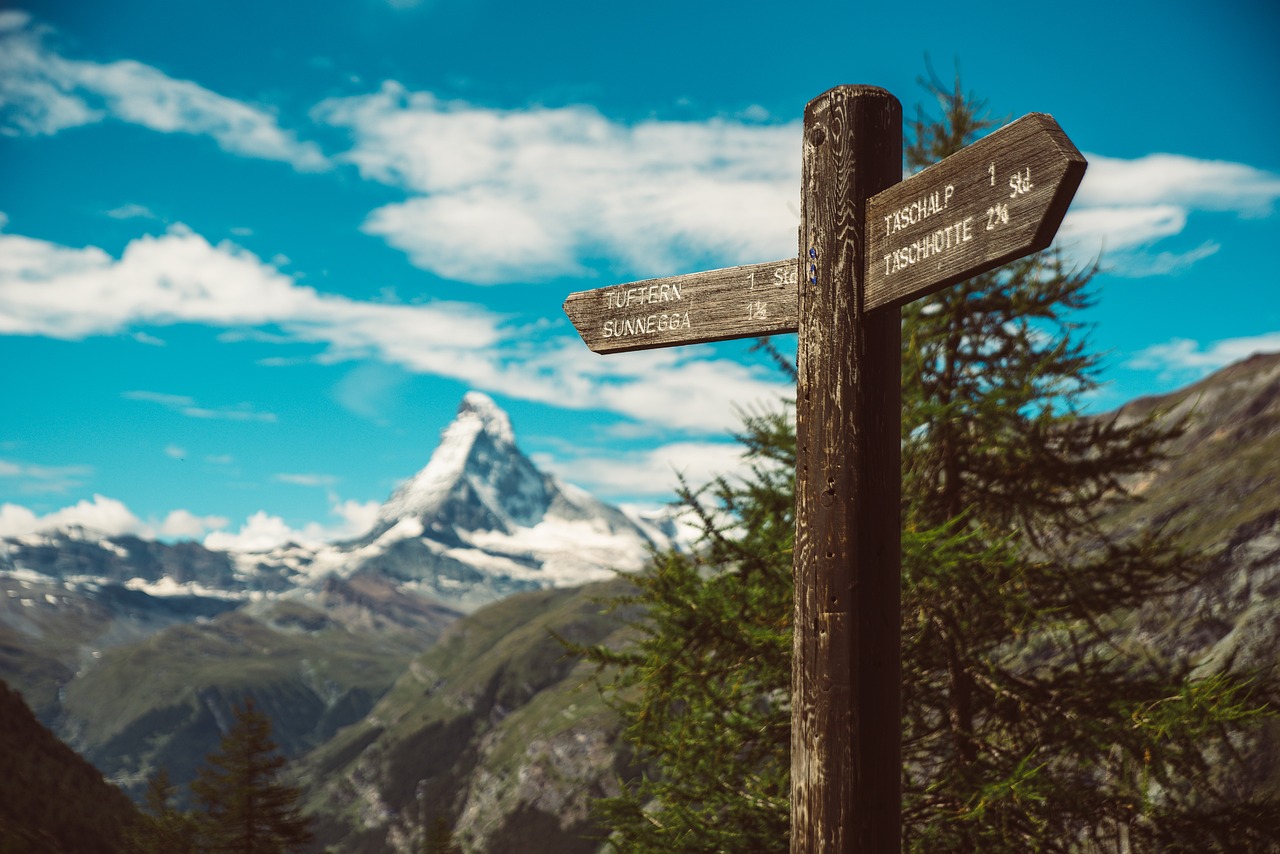 修羅天帝章節(jié)更新目錄詳解及最新動(dòng)態(tài)速遞