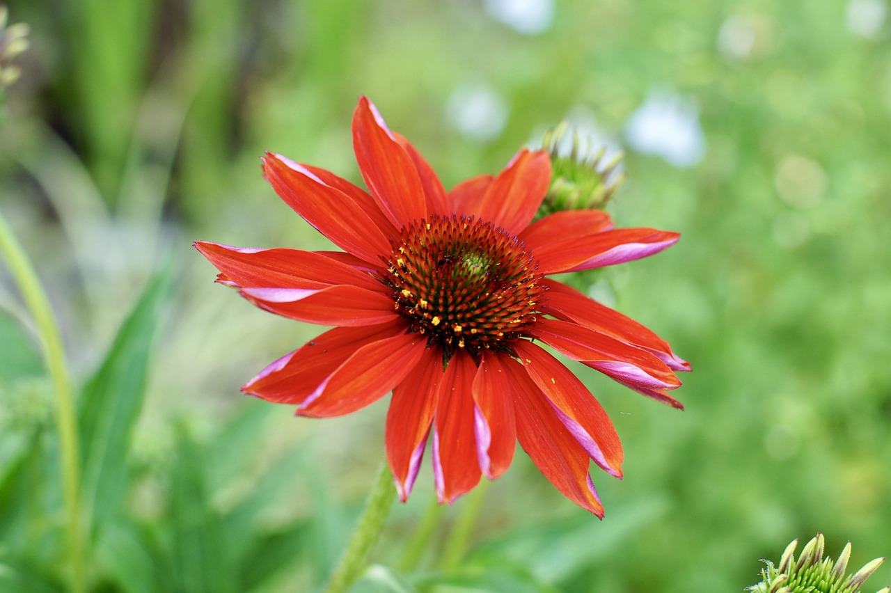 杰森·斯坦森最新動(dòng)態(tài)，星途璀璨與生活熱血前行