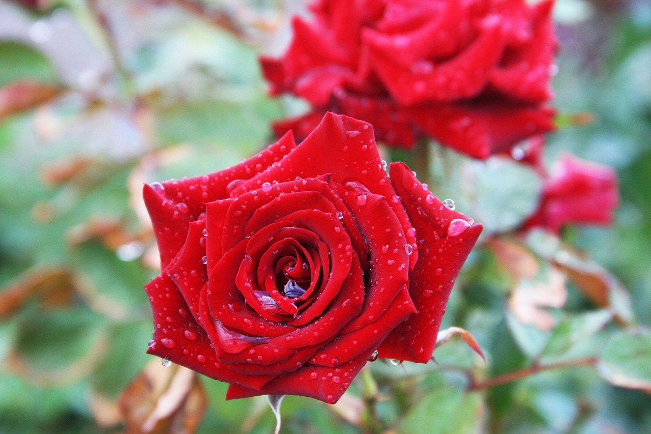 九價(jià)資訊，掌握最新動(dòng)態(tài)，健康主動(dòng)權(quán)在手！