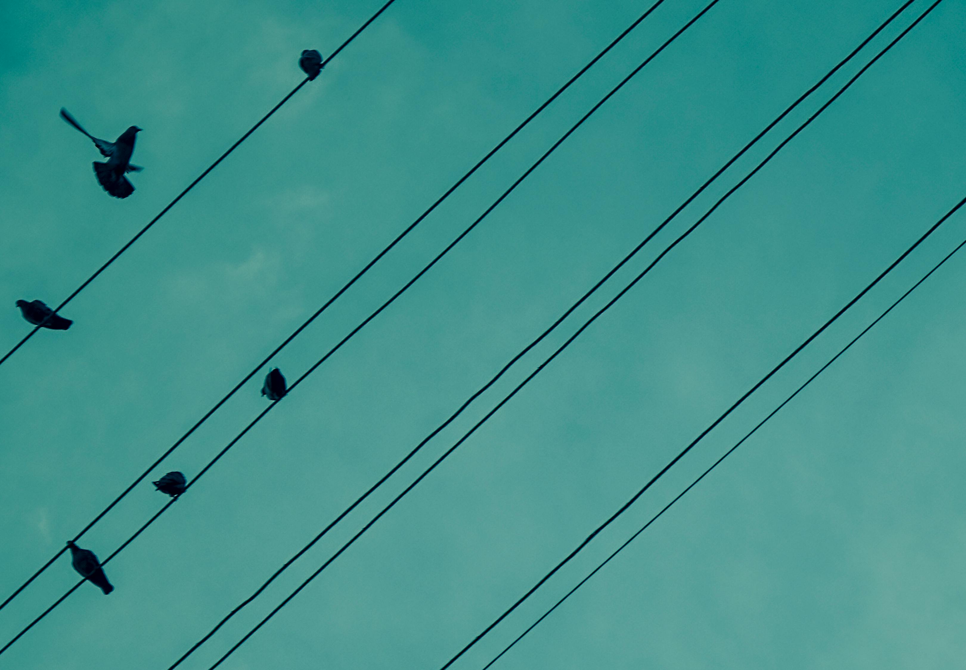 控制電纜價格的有效策略與方法，降低成本的關(guān)鍵之道