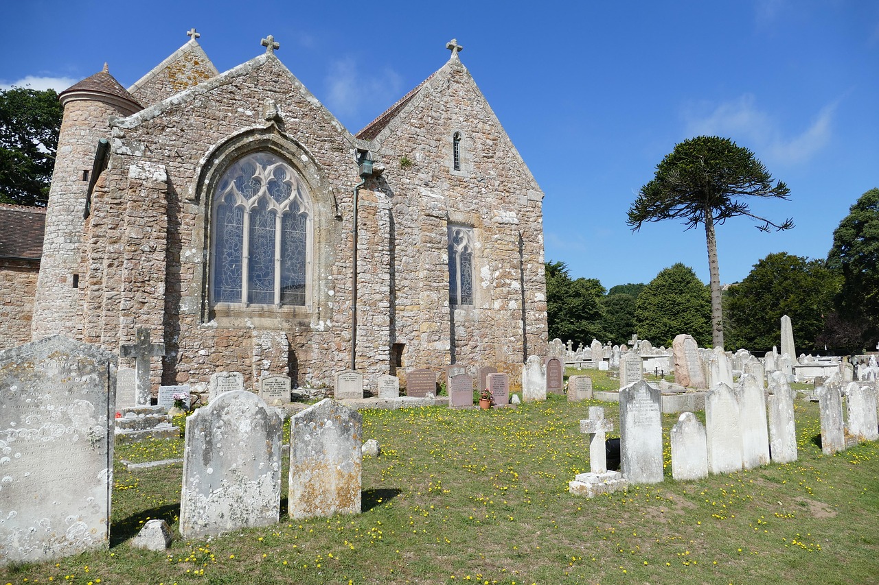 泰拳新動(dòng)態(tài)，探究演變歷程與未來(lái)發(fā)展展望
