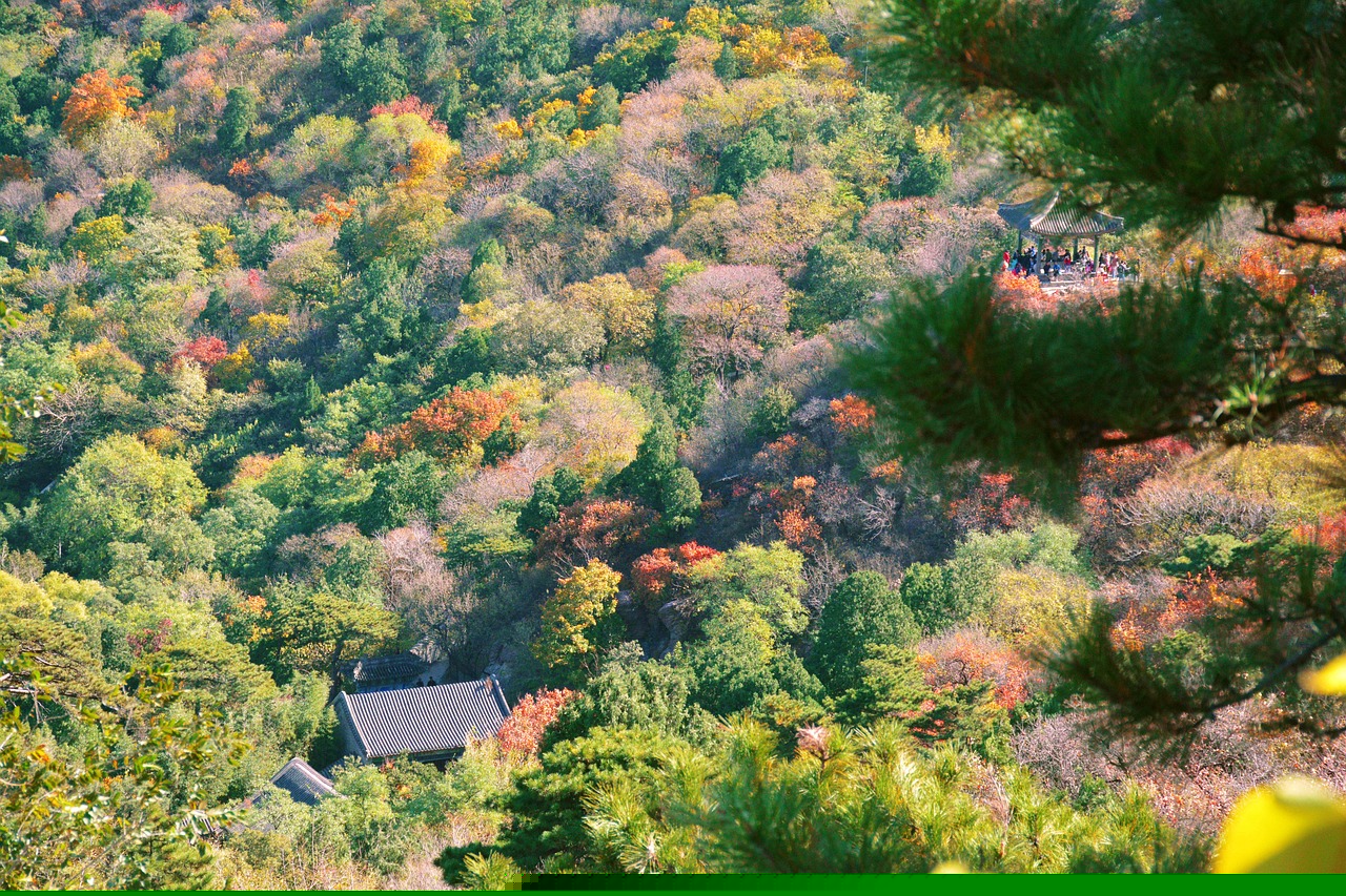 碧峰峽景區(qū)門票價(jià)格詳解及攻略