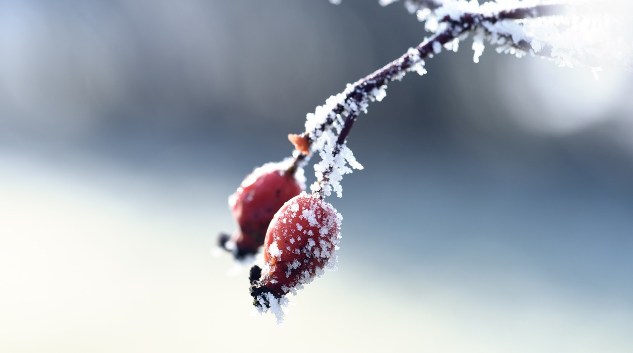 網(wǎng)絡陰影下的新型威脅，最新騷擾動態(tài)揭秘