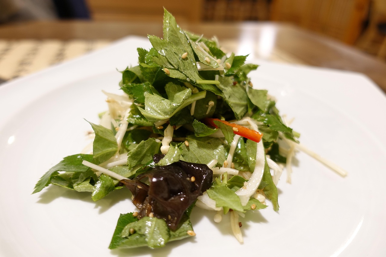 多香子資訊，探索信息世界的寶藏前沿動態(tài)