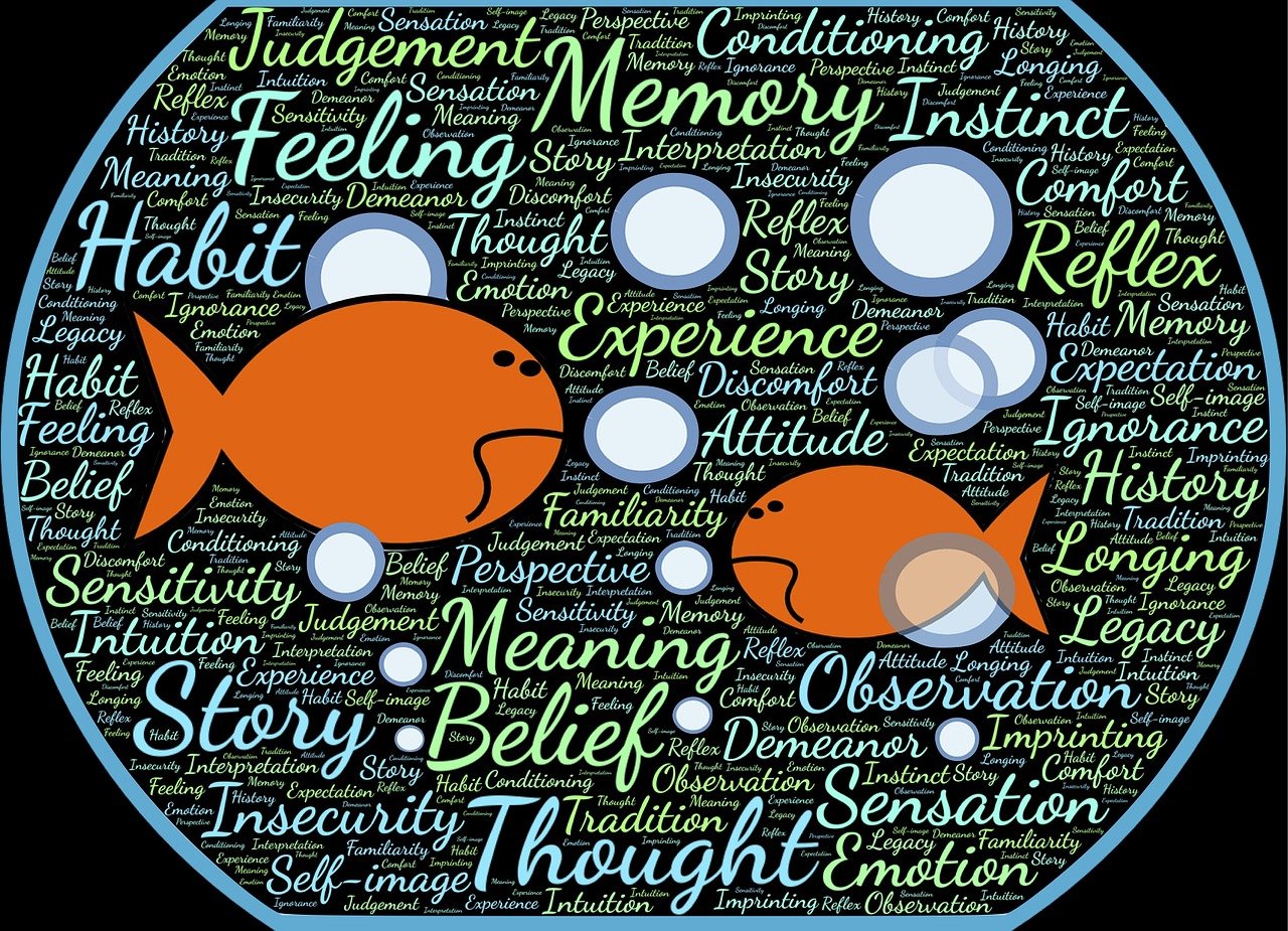 十二星座近期運(yùn)勢(shì)詳解及運(yùn)勢(shì)展望