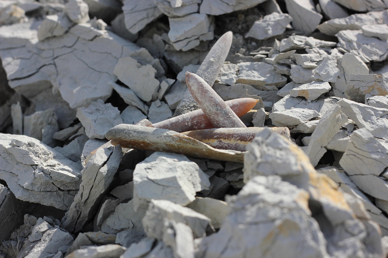 葉志勝少將展現(xiàn)新時代軍人風(fēng)采與擔(dān)當(dāng)?shù)淖钚聞討B(tài)