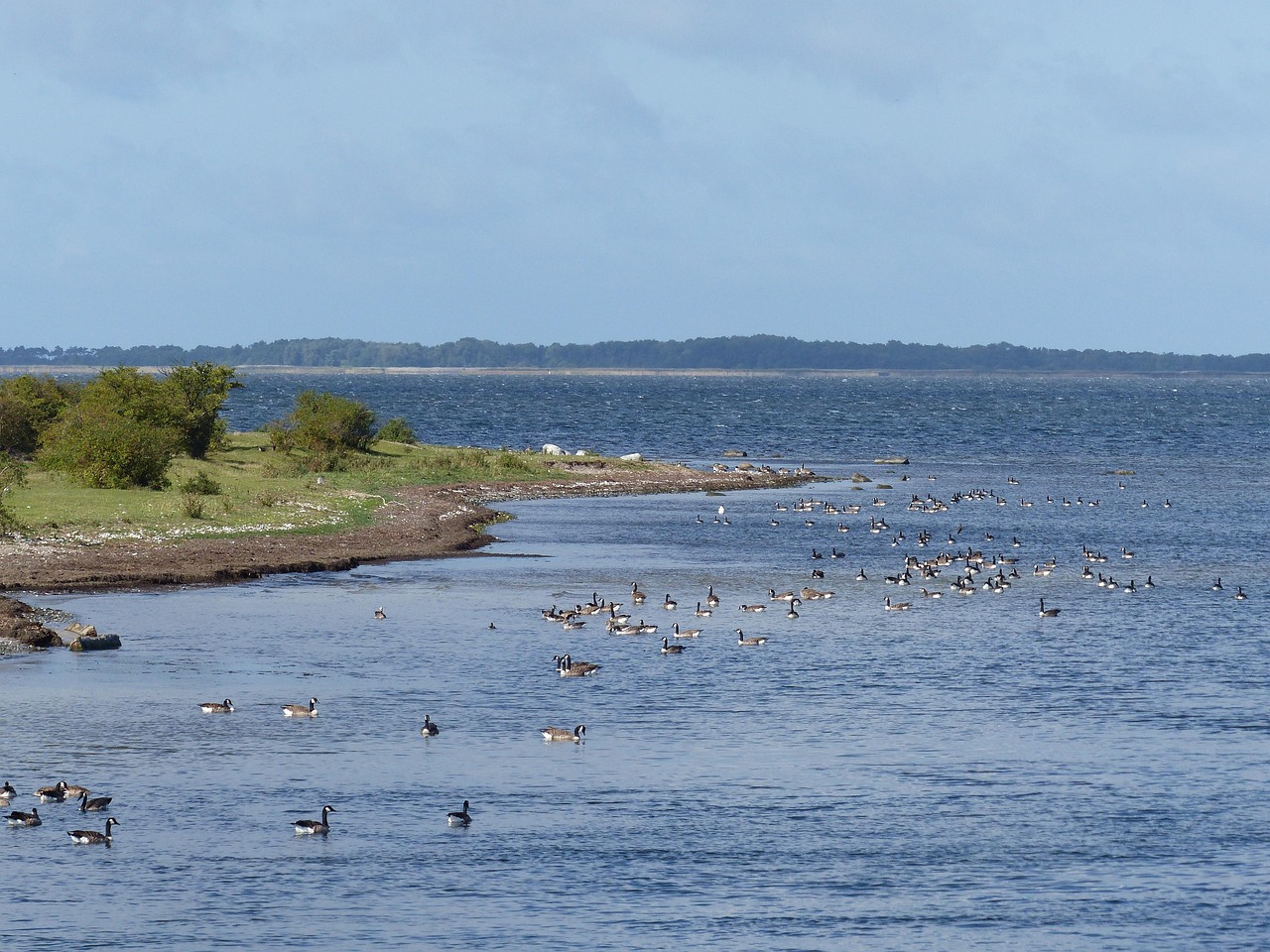 全球綠色發(fā)展新動態(tài)，環(huán)保進展與未來展望