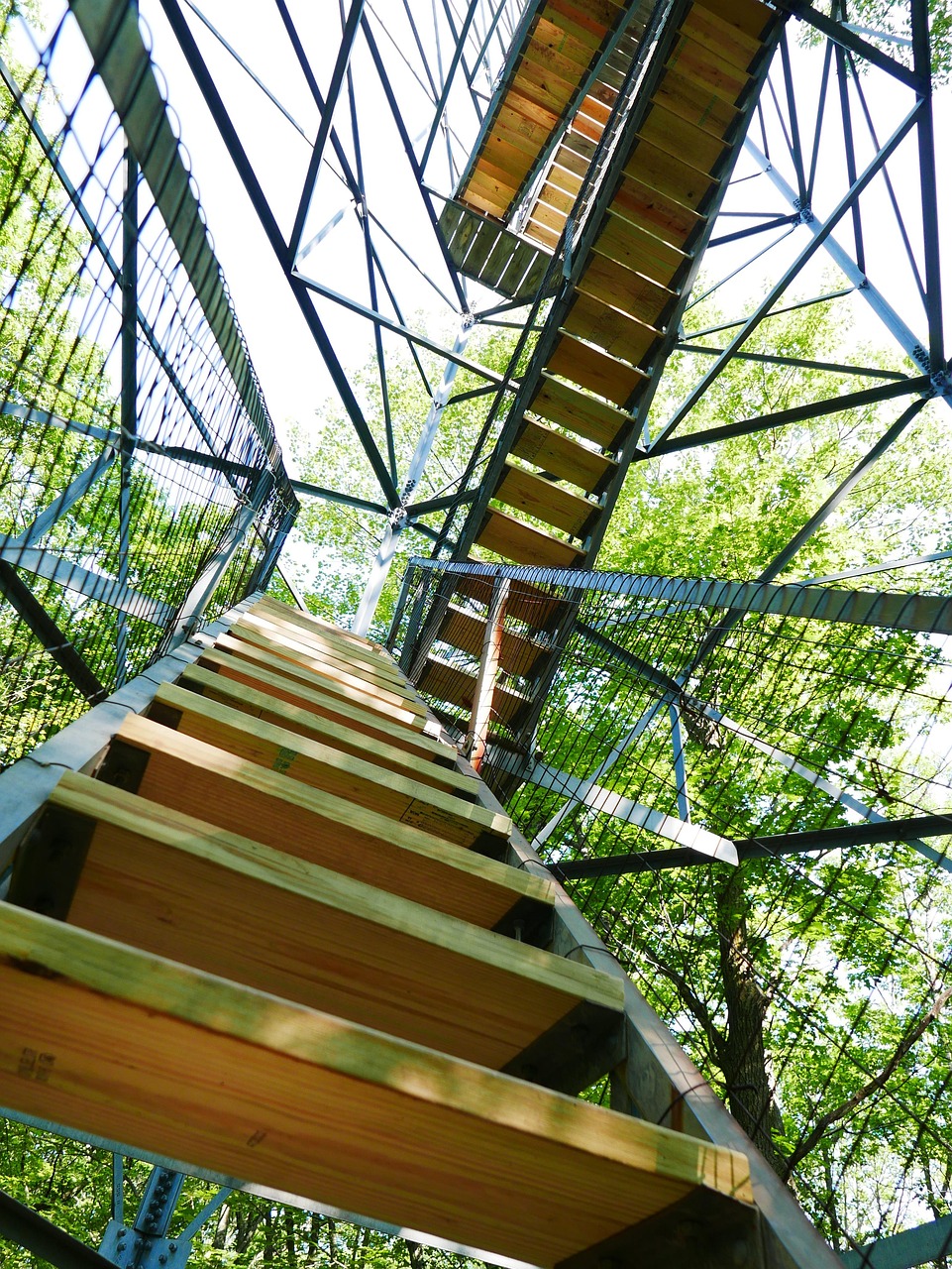 全球最新肺炎疫情動態(tài)，挑戰(zhàn)與希望并存的發(fā)展態(tài)勢分析