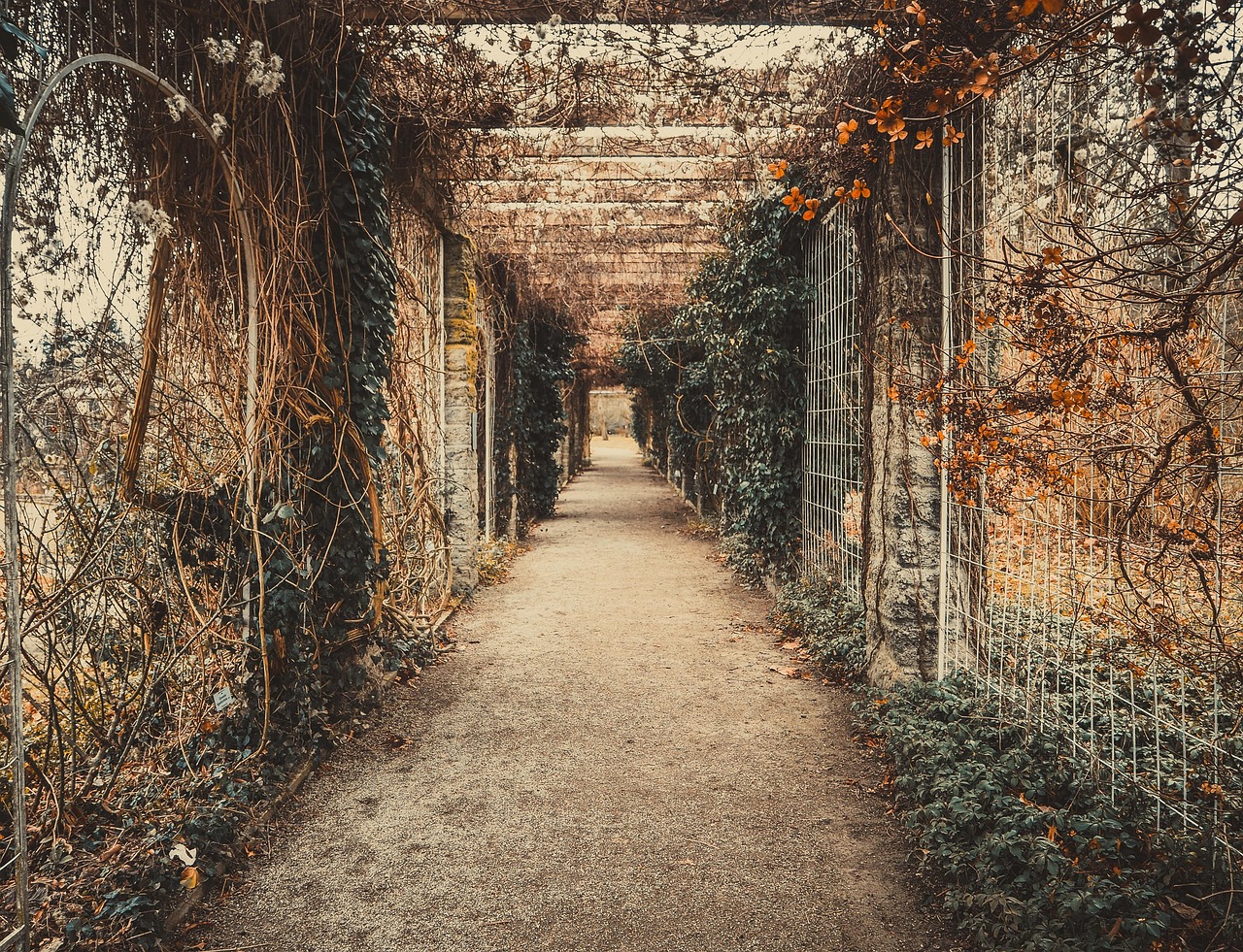 咸豐當百寶鞏行情，歷史價值與市場動態(tài)的交織展現(xiàn)收藏魅力