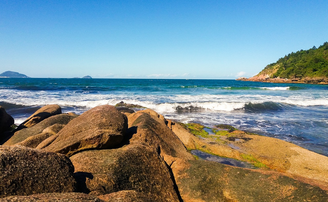 三亞孔雀城最新動(dòng)態(tài)揭秘，熱帶濱海城市的嶄新面貌