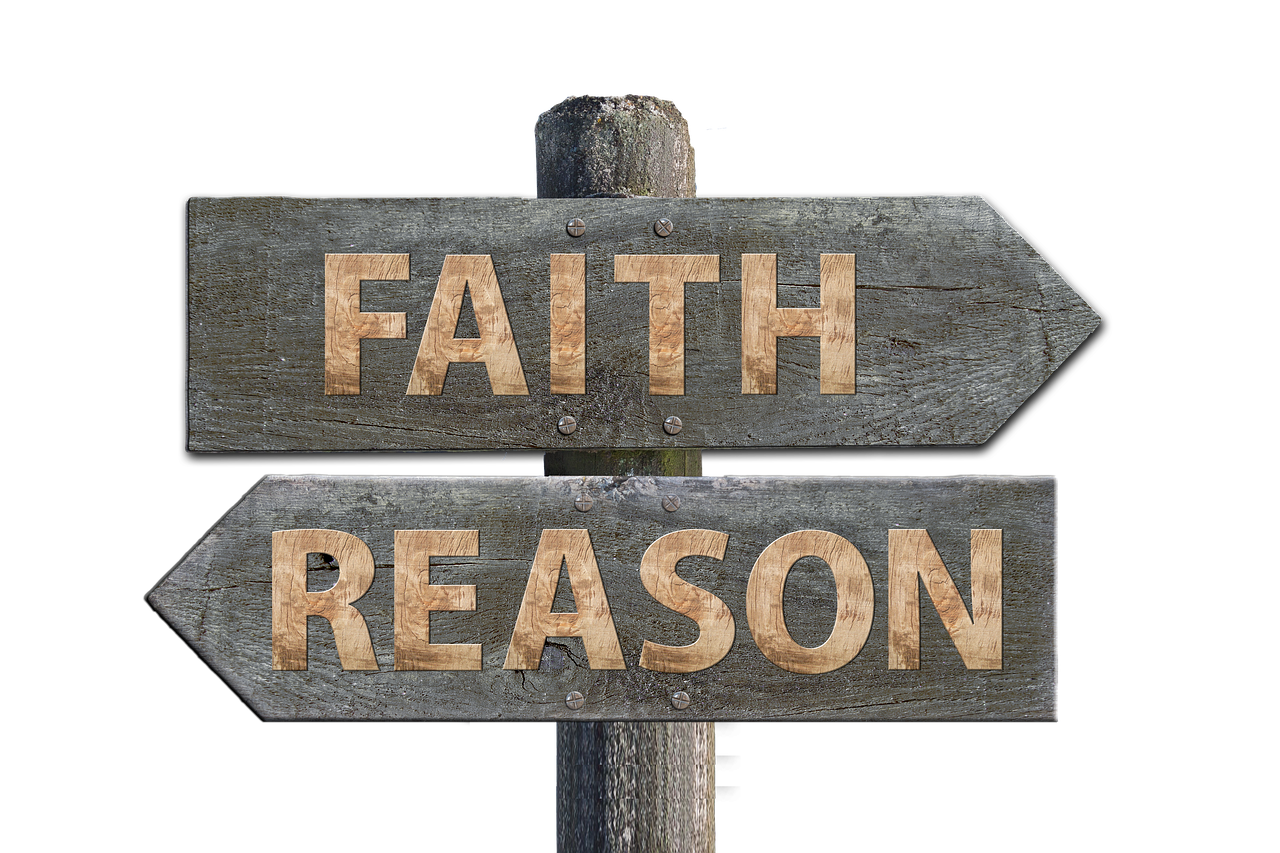 最新花都房價走勢，動態(tài)、趨勢、影響因素與前景展望