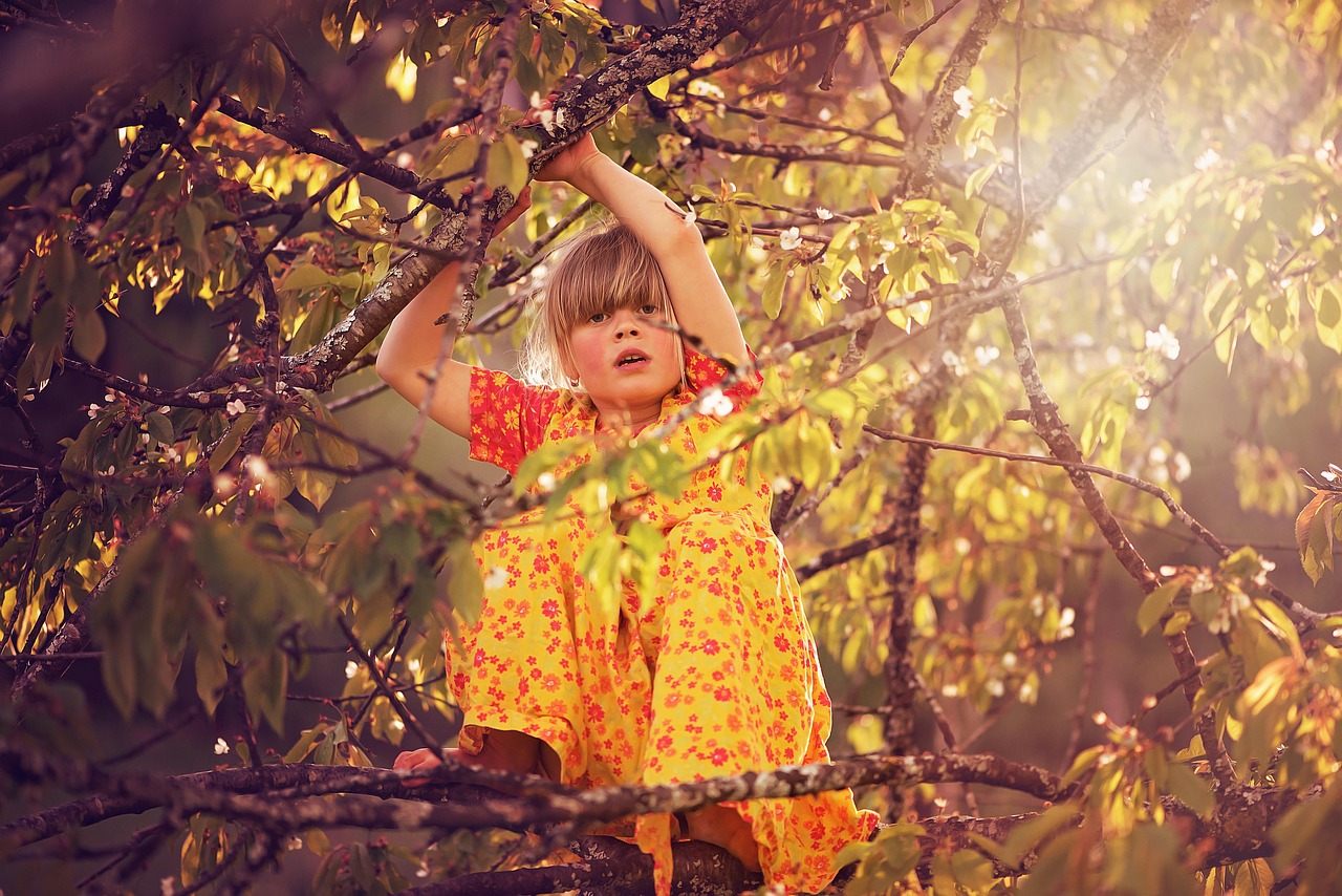 2025年2月 第33頁