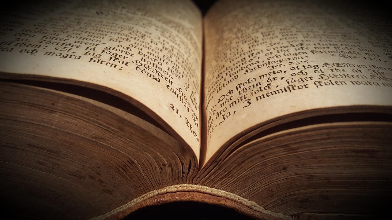 電影忠犬八公，感人肺腑的忠誠(chéng)故事與深遠(yuǎn)影響