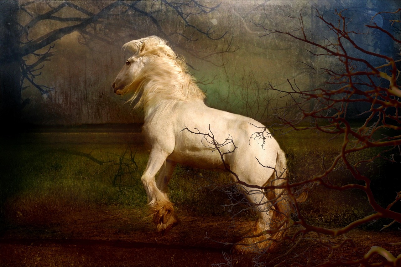 霜花店，歷史、情感與權(quán)力的交織畫卷，華麗呈現(xiàn)！