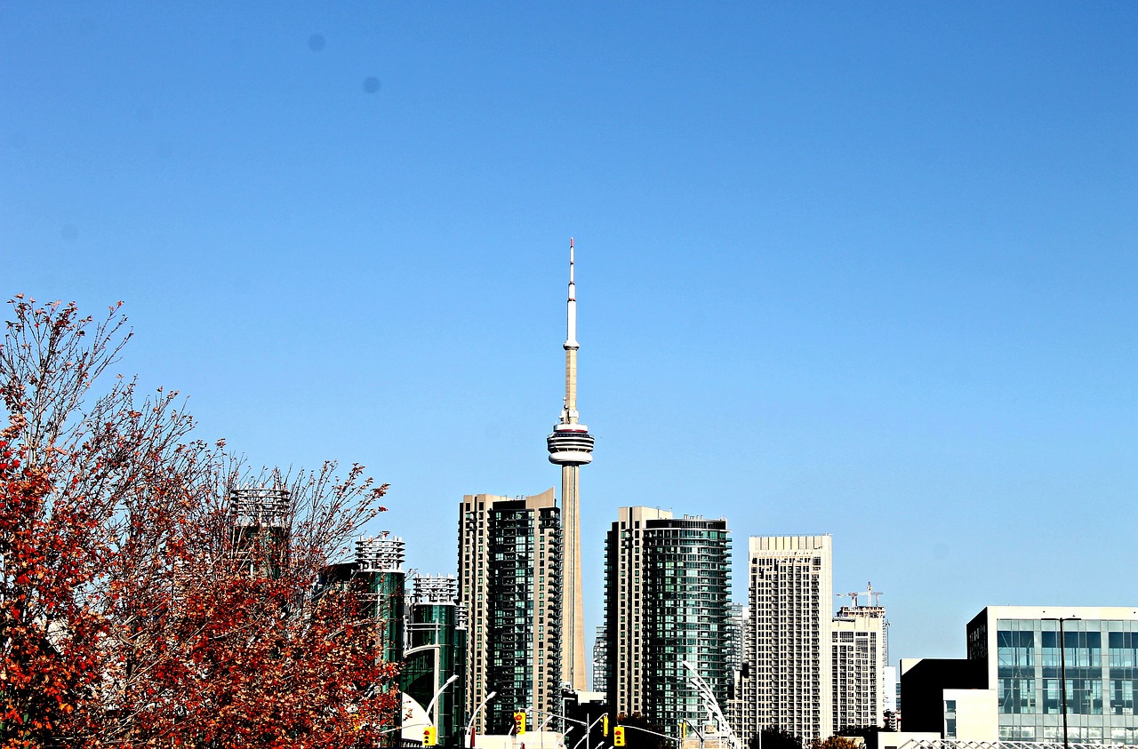 沈陽最新規(guī)章，塑造現(xiàn)代化城市的基石