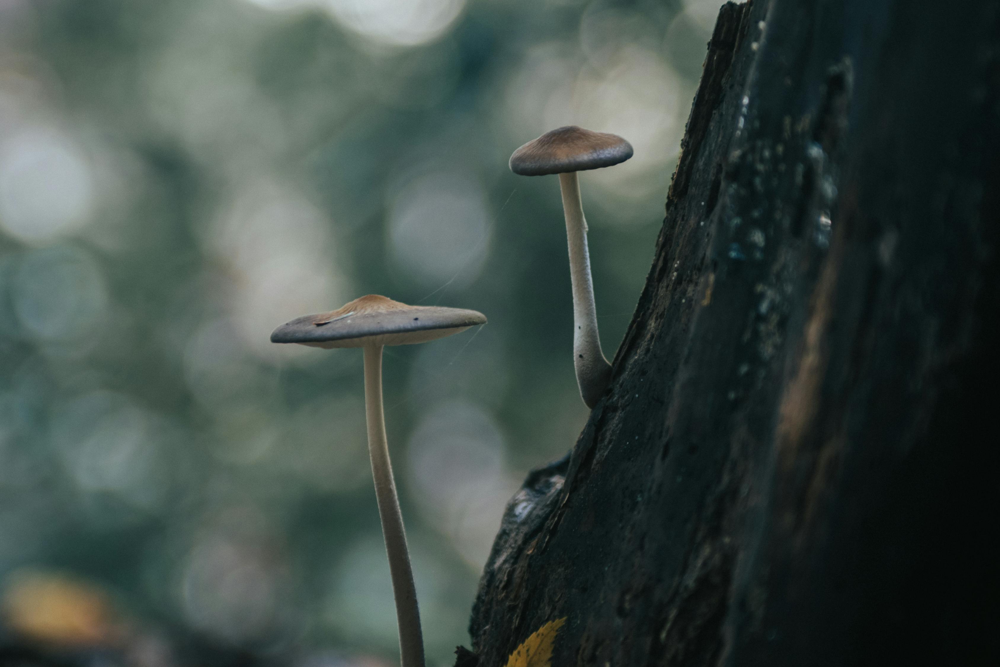 哈爾濱城市新動態(tài)，煥發(fā)勃勃生機與活力