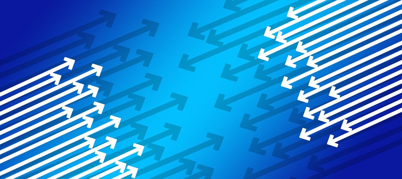 高粱行情分析，市場趨勢與影響因素深度探討