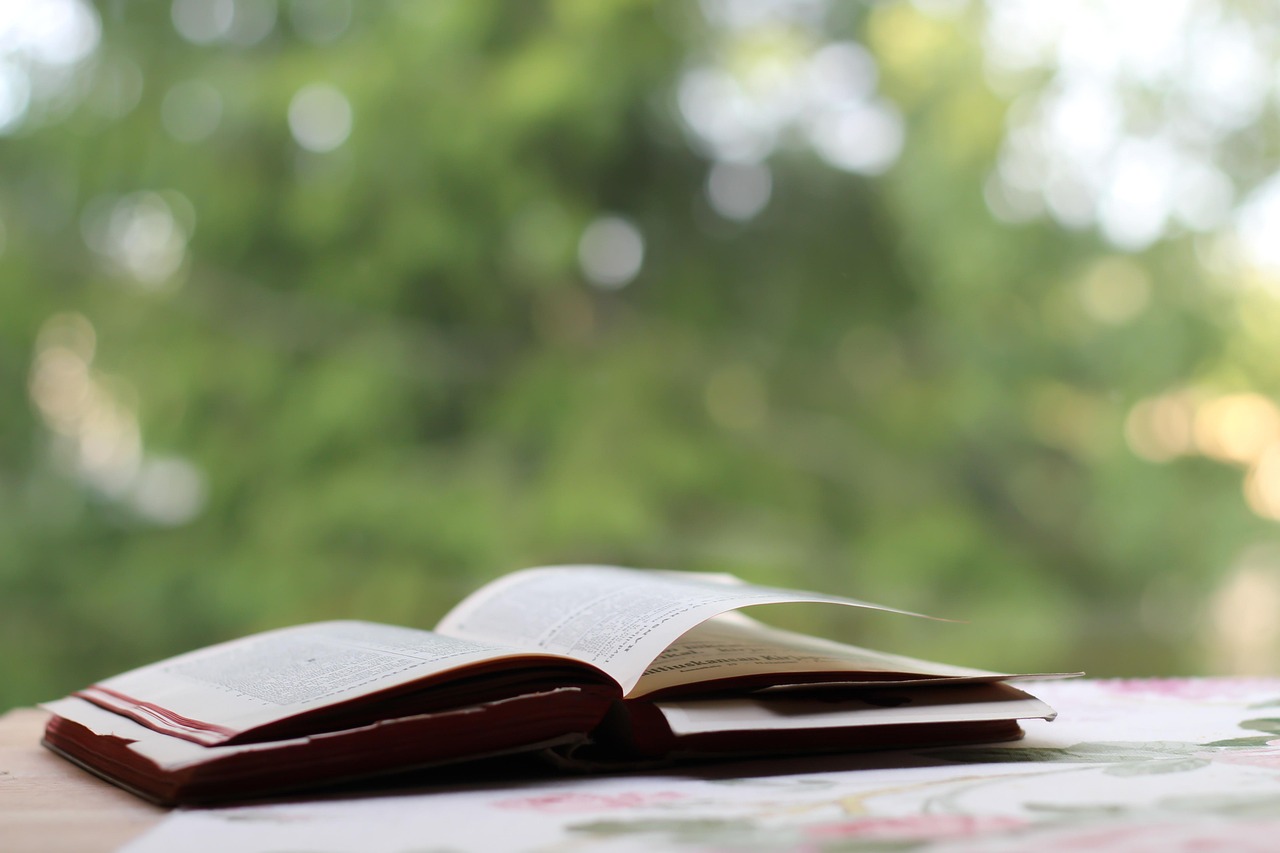 韓劇網(wǎng)獨(dú)家呈現(xiàn)，人魚小姐電視劇的魅力與深遠(yuǎn)影響