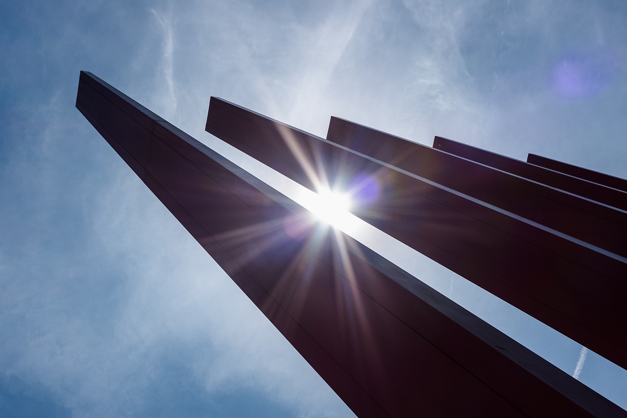 芹菜最新價(jià)格動(dòng)態(tài)分析與市場(chǎng)影響研究報(bào)告