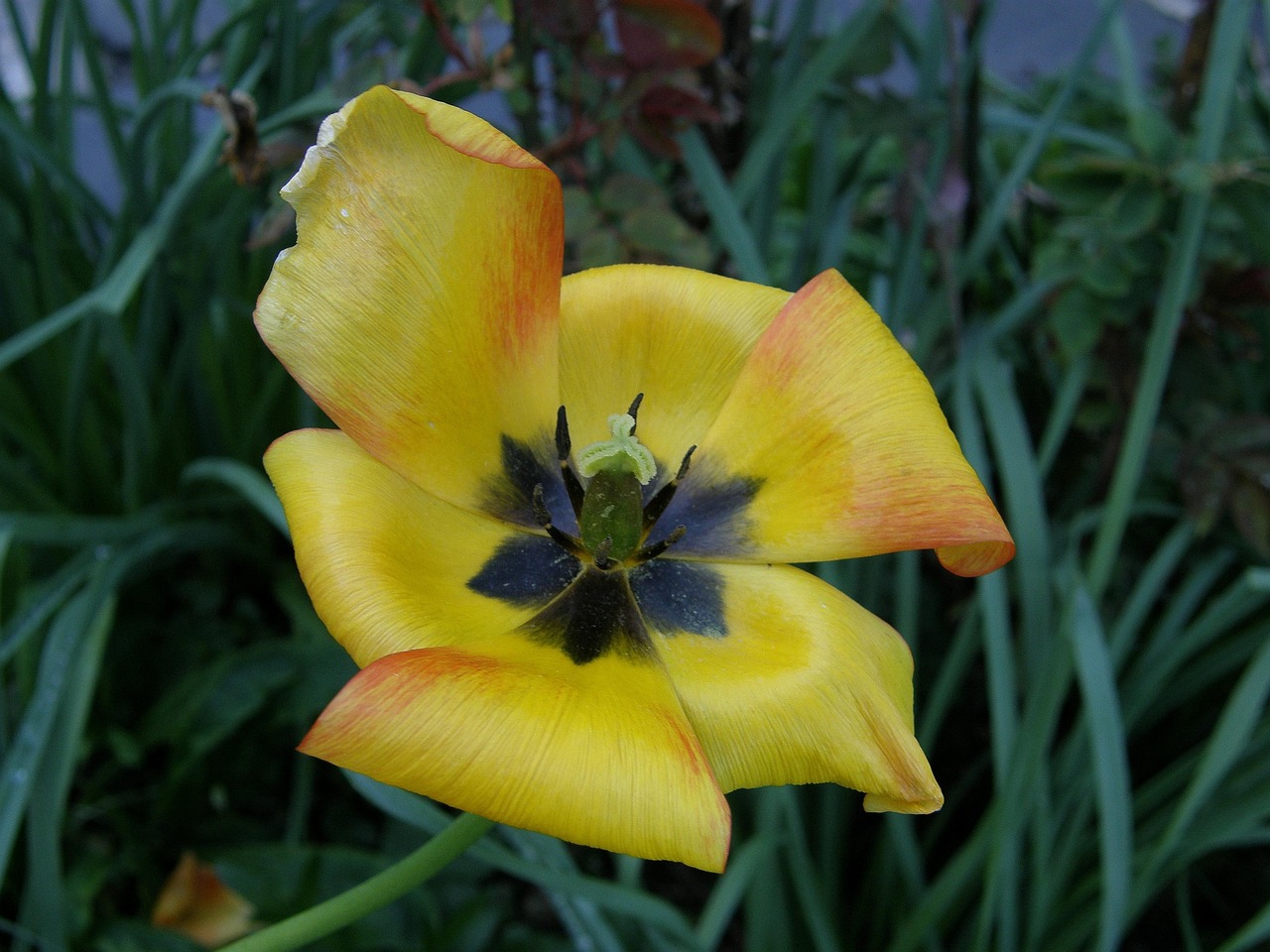 儋州濱海新區(qū)嶄露頭角，蓬勃發(fā)展的新引擎動態(tài)更新